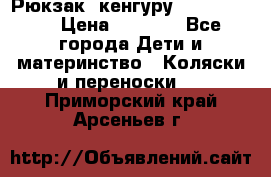 Рюкзак -кенгуру Baby Bjorn  › Цена ­ 2 000 - Все города Дети и материнство » Коляски и переноски   . Приморский край,Арсеньев г.